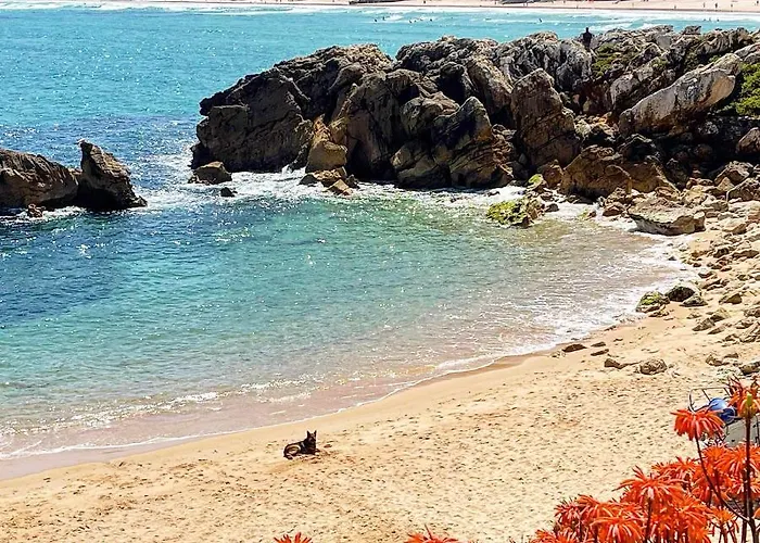 Fantastico T2 Vista Mar E Golfe E Terraco Privado C5 * Vau (Obidos)